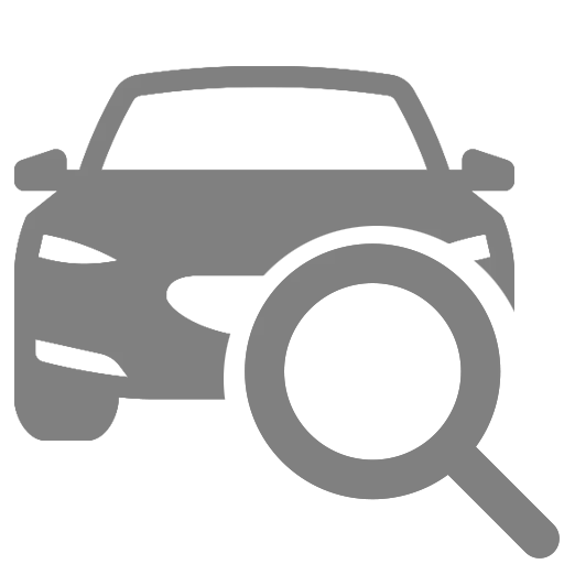 busquedaVehiculoIcon